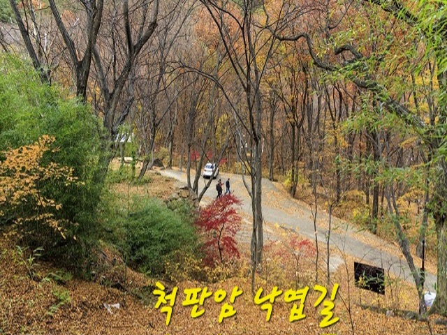 척판암 가는 길목